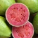 Manfaat Jambu Biji Merah Guava Untuk Kesehatan