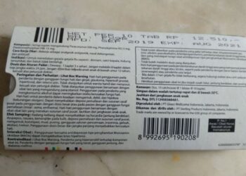 Pengertian Teks Prosedur Deskripsi Diskusi dan Argumentasi