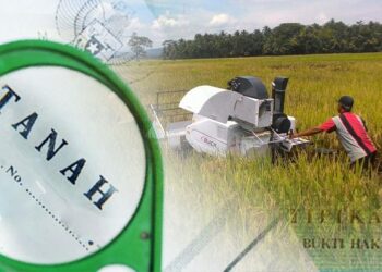 Reformasi Agraria, Kebijakan dan Isi