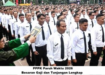 PPPK Paruh Waktu 2026: Besaran Gaji dan Tunjangan Lengkap
