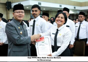 Gaji PPPK Bisa Naik Secara Berkala, Ini Besarannya