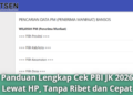 Panduan Lengkap Cek PBI JK 2026 Lewat HP, Tanpa Ribet dan Cepat