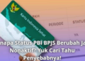 Kenapa Status PBI BPJS Berubah Jadi Nonaktif? Yuk Cari Tahu Penyebabnya!