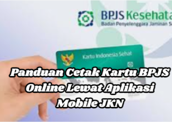 Panduan Cetak Kartu BPJS Online Lewat Aplikasi Mobile JKN