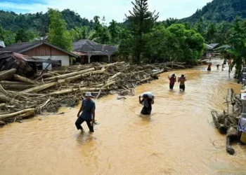 BPBD Tapanuli Tengah Evakuasi Warga Terdampak Banjir, Hujan Deras Sebabkan Sungai Meluap di Empat Kecamatan