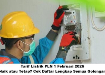 Tarif Listrik PLN 1 Februari 2026: Naik atau Tetap? Cek Daftar Lengkap Semua Golongan