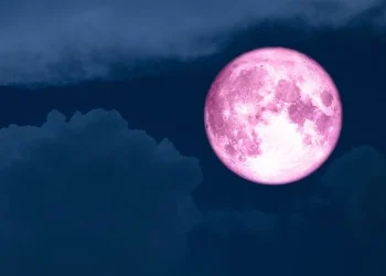 Apa Itu Fenomena Pink Moon? Ini Penjelasan dan Waktu Terjadinya