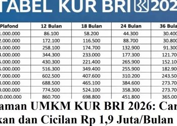 Pinjaman UMKM KUR BRI 2026: Cara Ajukan dan Cicilan Rp 1,9 Juta/Bulan