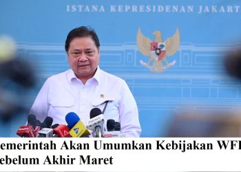 Pemerintah Akan Umumkan Kebijakan WFH Sebelum Akhir Maret