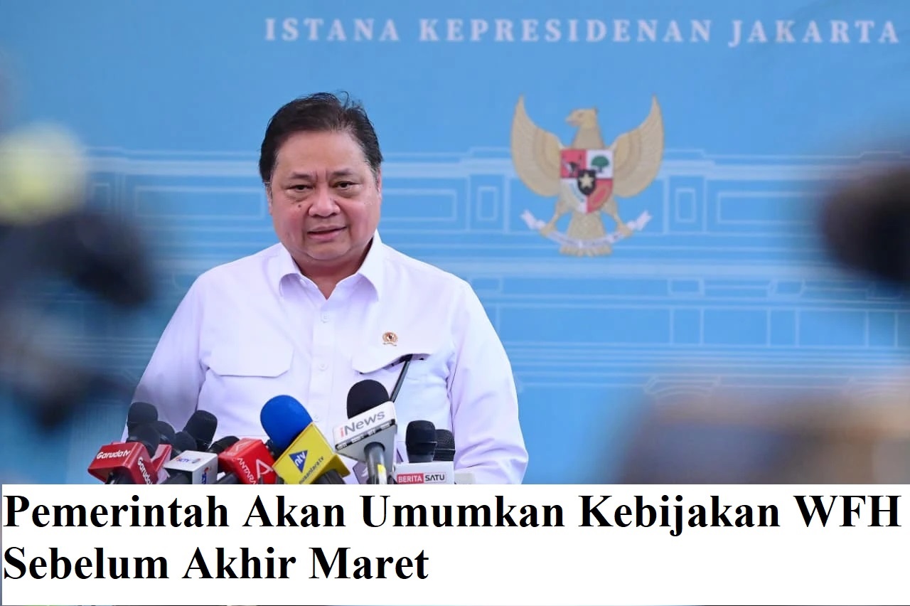 Pemerintah Akan Umumkan Kebijakan WFH Sebelum Akhir Maret