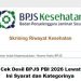 Cara Cek Desil BPJS PBI 2026 Lewat HP, Ini Syarat dan Kategorinya