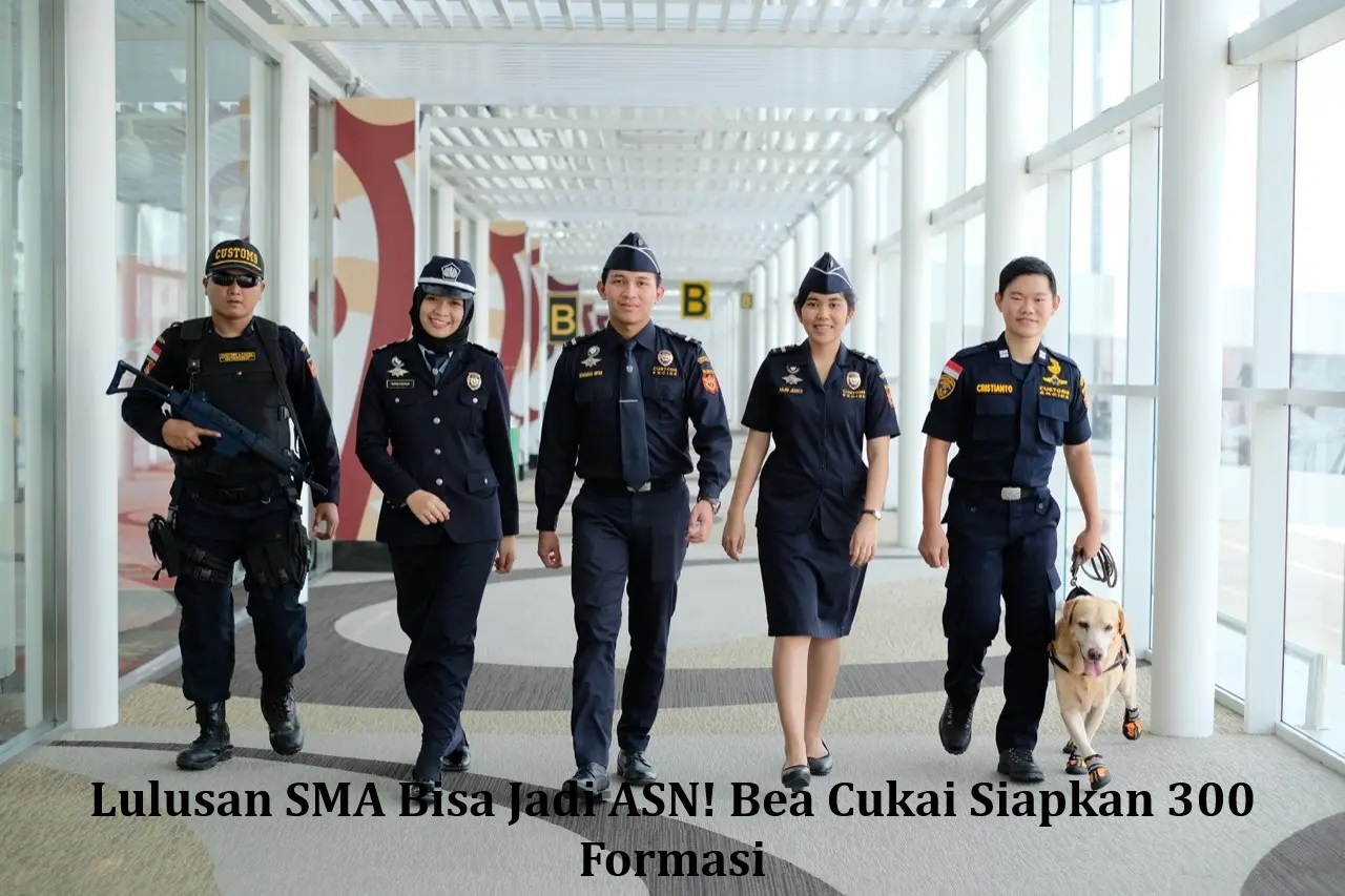 Lulusan SMA Bisa Jadi ASN! Bea Cukai Siapkan 300 Formasi