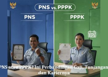 PNS atau PPPK? Ini Perbandingan Gaji, Tunjangan, dan Kariernya
