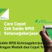 Cara Cek Saldo BPJS Ketenagakerjaan Secara Online dengan Mudah dan Cepat Terbaru