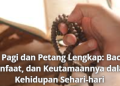 Zikir Pagi dan Petang Lengkap: Bacaan, Manfaat, dan Keutamaannya dalam Kehidupan Sehari-hari