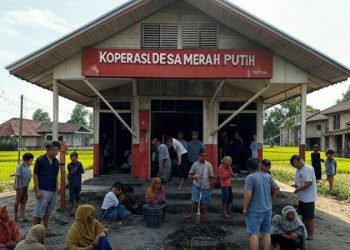 Jadwal dan Tahapan Seleksi Manajer Koperasi Desa Merah Putih: Dibuka 30.000 Lowongan Kerja, Cek Link Pendaftaran