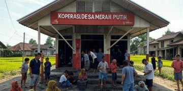 Jadwal dan Tahapan Seleksi Manajer Koperasi Desa Merah Putih: Dibuka 30.000 Lowongan Kerja, Cek Link Pendaftaran