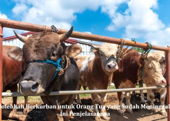 Bolehkah Berkurban untuk Orang Tua yang Sudah Meninggal? Ini Penjelasannya