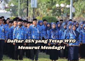 Daftar ASN yang Tetap WFO Menurut Mendagri