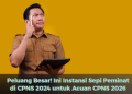 Peluang Besar! Ini Instansi Sepi Peminat di CPNS 2024 untuk Acuan CPNS 2026