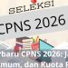 Info Terbaru CPNS 2026: Jadwal, Syarat Umum, dan Kuota Formasi