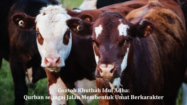 Contoh Khutbah Idul Adha: Qurban sebagai Jalan Membentuk Umat Berkarakter