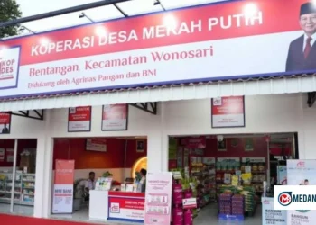 Rekrutmen 30 Ribu Manajer Koperasi Desa 2026 Dibuka, Ini Gaji dan Cara Daftarnya
