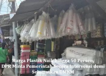 Harga Plastik Naik hingga 50 Persen, DPR Minta Pemerintah Segera Intervensi demi Selamatkan UMKM